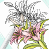 OHUHU FINELINER SET-8 PENS OHU-Y30-80600-28