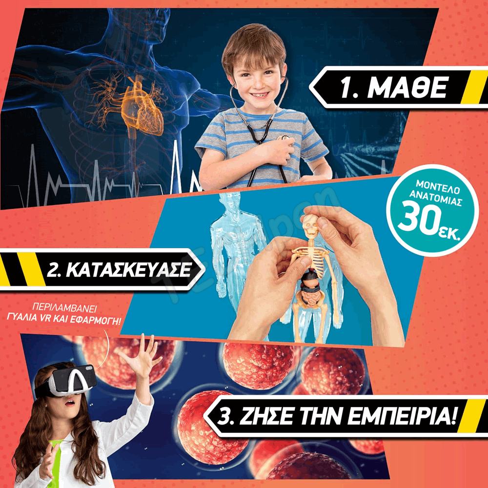 Abacus - Stem Lab - Body Lab VR - GR 121811