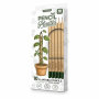mikamax - Pencil Planter 125018 MM05203