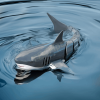 mikamax - RC Shark MM05120