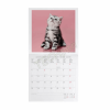 LEGAMI CAL270001 WALL CALENDAR 2027 - CATS - KITTENS - 30X29