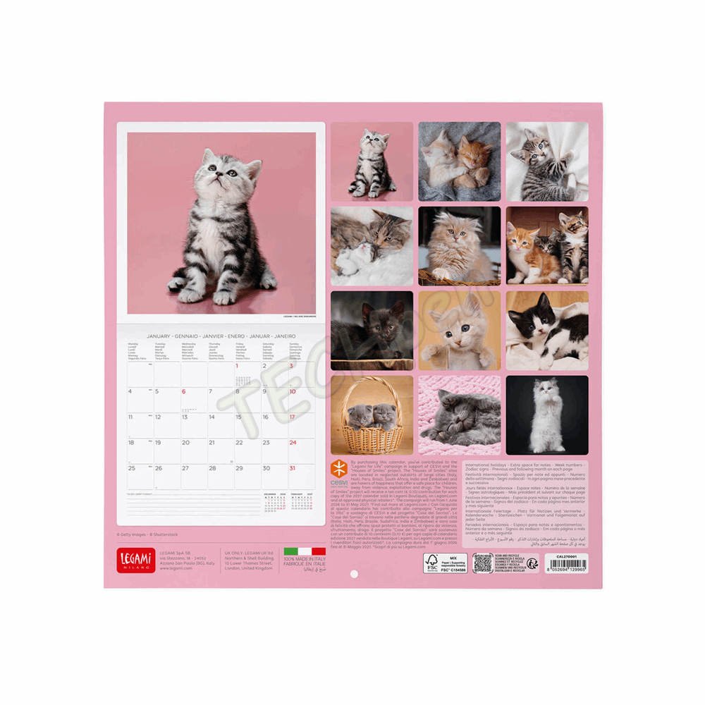 LEGAMI CAL270001 WALL CALENDAR 2027 - CATS - KITTENS - 30X29