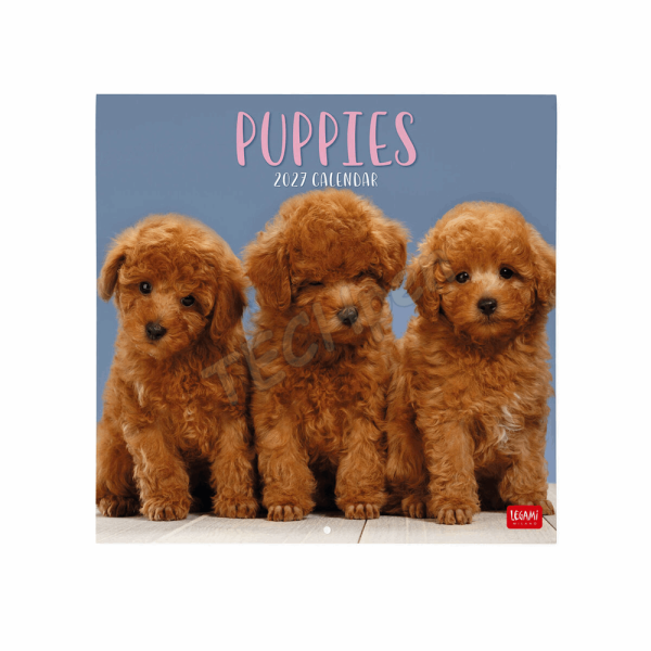 LEGAMI CAL270003 WALL CALENDAR 2027 - DOGS - PUPPIES - 30X29
