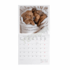 LEGAMI CAL270003 WALL CALENDAR 2027 - DOGS - PUPPIES - 30X29