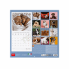 LEGAMI CAL270003 WALL CALENDAR 2027 - DOGS - PUPPIES - 30X29