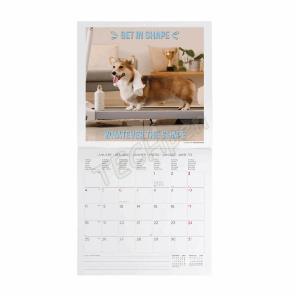 LEGAMI CAL270004 WALL CALENDAR 2027 - DOGS - SUPAWSTAR - 30X29