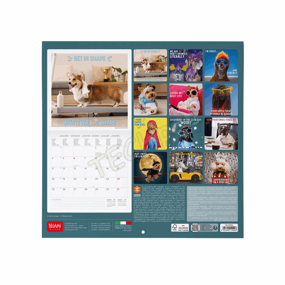 LEGAMI CAL270004 WALL CALENDAR 2027 - DOGS - SUPAWSTAR - 30X29