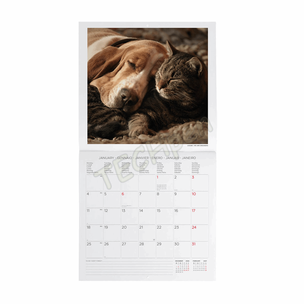LEGAMI CAL270005 WALL CALENDAR 2027 - ANIMALS - BEST FRIENDS - 30X29
