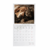 LEGAMI CAL270005 WALL CALENDAR 2027 - ANIMALS - BEST FRIENDS - 30X29