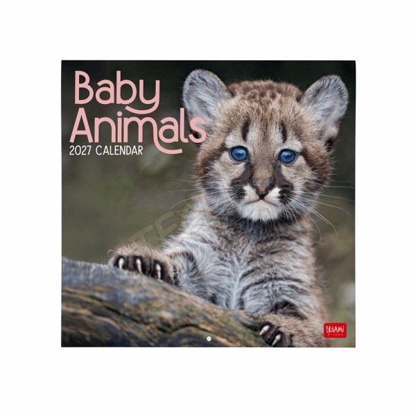 LEGAMI CAL270007 WALL CALENDAR 2027 - ANIMALS - BABY ANIMALS - 30X29