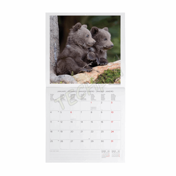 LEGAMI CAL270007 WALL CALENDAR 2027 - ANIMALS - BABY ANIMALS - 30X29