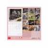 LEGAMI CAL270007 WALL CALENDAR 2027 - ANIMALS - BABY ANIMALS - 30X29