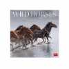 LEGAMI CAL270008 WALL CALENDAR 2027 - ANIMALS - WILD HORSES - 30X29