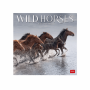 LEGAMI CAL270008 WALL CALENDAR 2027 - ANIMALS - WILD HORSES - 30X29