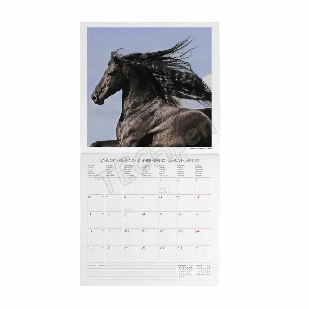 LEGAMI CAL270008 WALL CALENDAR 2027 - ANIMALS - WILD HORSES - 30X29
