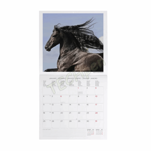 LEGAMI CAL270008 WALL CALENDAR 2027 - ANIMALS - WILD HORSES - 30X29