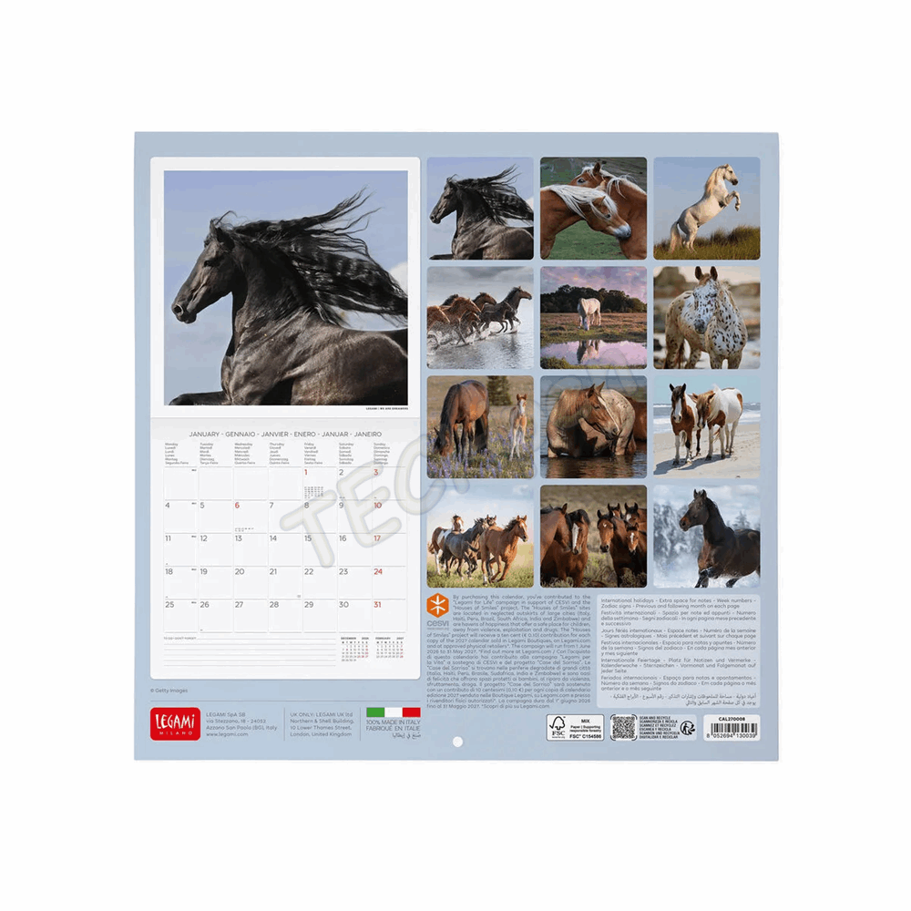 LEGAMI CAL270008 WALL CALENDAR 2027 - ANIMALS - WILD HORSES - 30X29