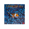 LEGAMI CAL270009 WALL CALENDAR 2027 - ANIMALS - UNDER THE SEA - 30X29