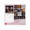 LEGAMI CAL270011 WALL CALENDAR 2027 - VARIOUS - BALLET - 30X29