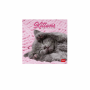 LEGAMI CAL270084 WALL CALENDAR 2027 - CATS - KITTENS - 18X18