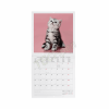 LEGAMI CAL270084 WALL CALENDAR 2027 - CATS - KITTENS - 18X18