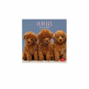 LEGAMI CAL270086 WALL CALENDAR 2027 - DOGS - PUPPIES - 18X18
