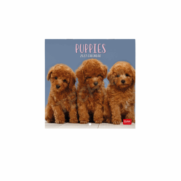 LEGAMI CAL270086 WALL CALENDAR 2027 - DOGS - PUPPIES - 18X18