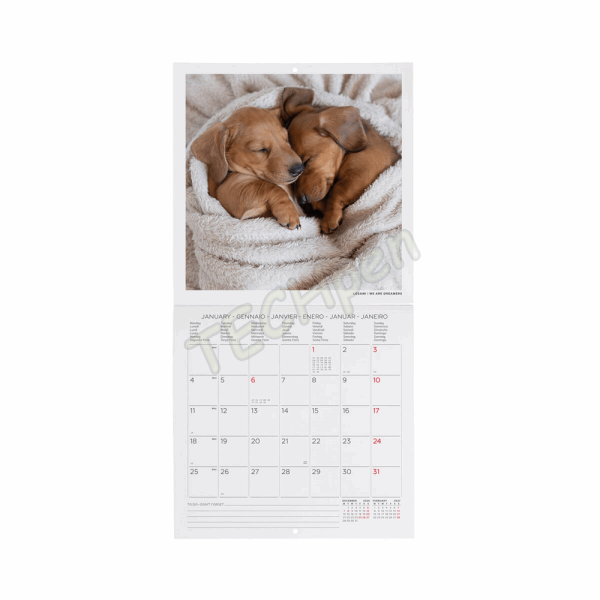 LEGAMI CAL270086 WALL CALENDAR 2027 - DOGS - PUPPIES - 18X18