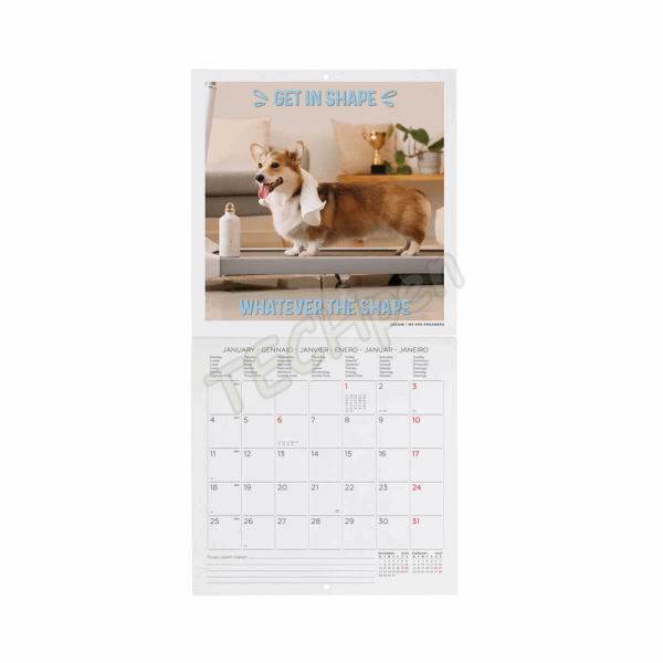 LEGAMI CAL270087 WALL CALENDAR 2027 - DOGS - SUPAWSTAR - 18X18