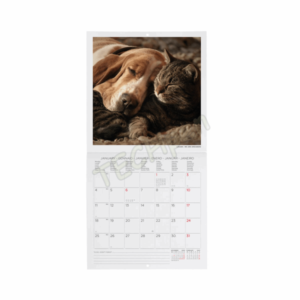 LEGAMI CAL270088 WALL CALENDAR 2027 - ANIMALS - BEST FRIENDS - 18X18