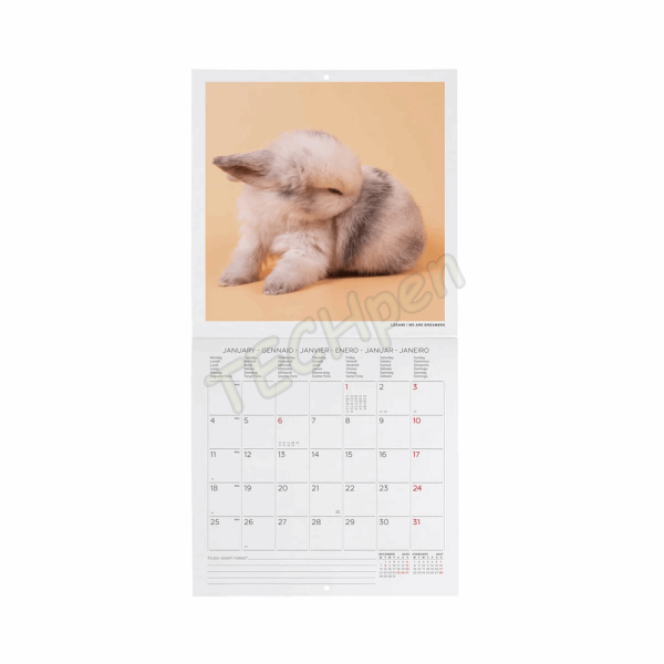 LEGAMI CAL270089 WALL CALENDAR 2027 - ANIMALS - HONEY BUNNY - 18X18
