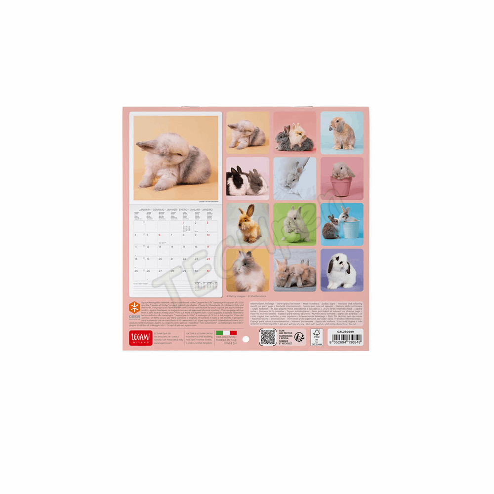 LEGAMI CAL270089 WALL CALENDAR 2027 - ANIMALS - HONEY BUNNY - 18X18