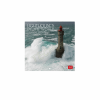 LEGAMI CAL270094 WALL CALENDAR 2027 - NATURE & LANDSCAPES - LIGHTHOUSES OF THE WORLD - 18X