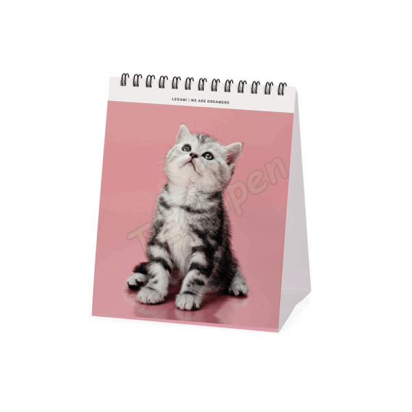 LEGAMI CAL270119 DESK CALENDAR 2027 - CATS - KITTENS - 12X14.5