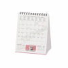 LEGAMI CAL270119 DESK CALENDAR 2027 - CATS - KITTENS - 12X14.5