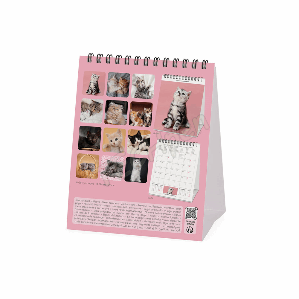 LEGAMI CAL270119 DESK CALENDAR 2027 - CATS - KITTENS - 12X14.5