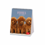 LEGAMI CAL270121 DESK CALENDAR 2027 - DOGS - PUPPIES - 12X14.5