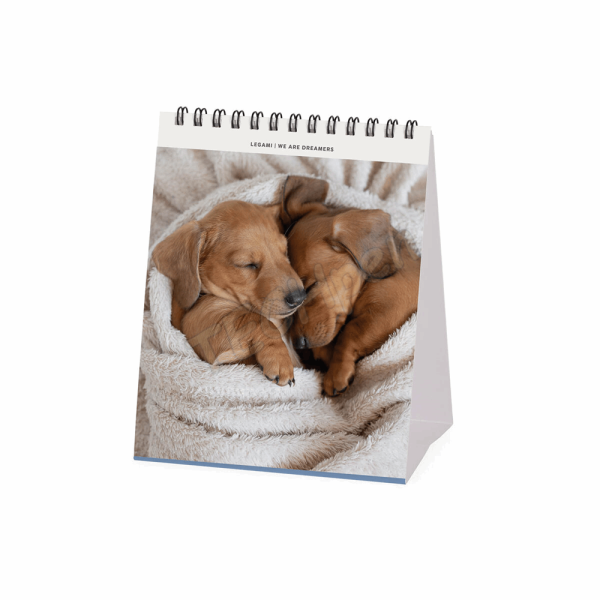 LEGAMI CAL270121 DESK CALENDAR 2027 - DOGS - PUPPIES - 12X14.5