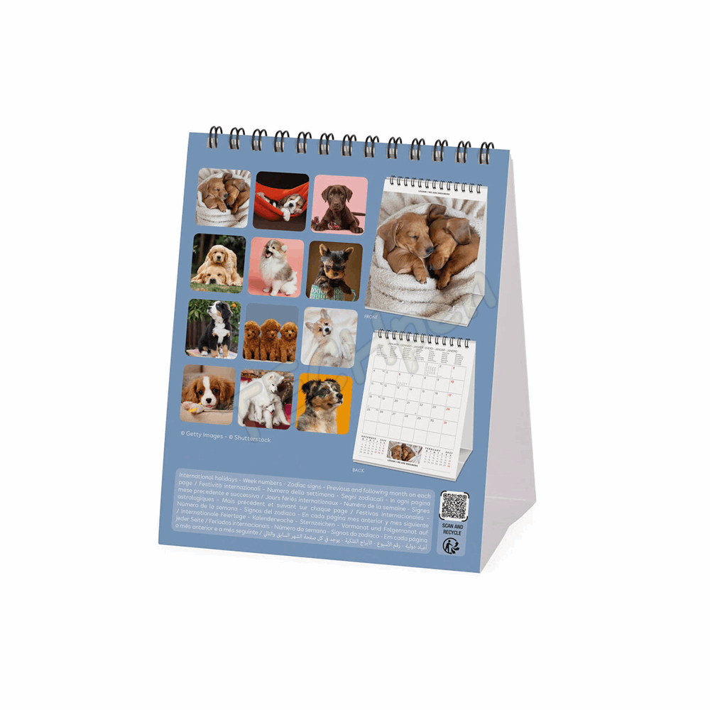 LEGAMI CAL270121 DESK CALENDAR 2027 - DOGS - PUPPIES - 12X14.5