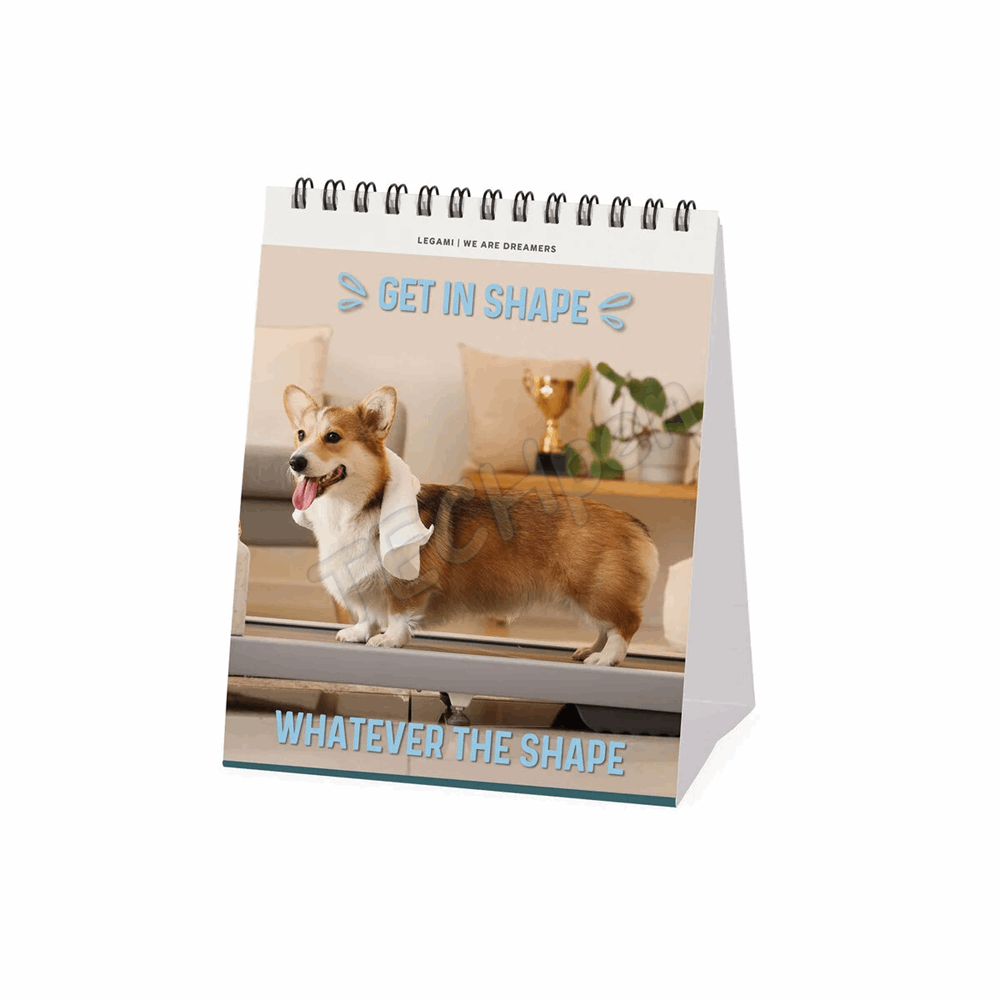 LEGAMI CAL270122 DESK CALENDAR 2027 - DOGS - SUPAWSTAR - 12X14.5