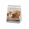 LEGAMI CAL270122 DESK CALENDAR 2027 - DOGS - SUPAWSTAR - 12X14.5
