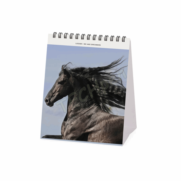 LEGAMI CAL270124 DESK CALENDAR 2027 - ANIMALS - WILD HORSES - 12X14.5