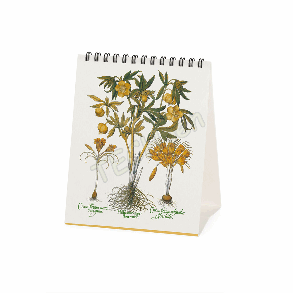 LEGAMI CAL270146 DESK CALENDAR 2027 - VINTAGE - HERBARIUM - 12X14.5