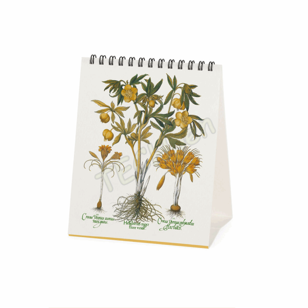 LEGAMI CAL270146 DESK CALENDAR 2027 - VINTAGE - HERBARIUM - 12X14.5