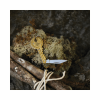GENTLEMENS KEY POCKET KNIFE GEN704