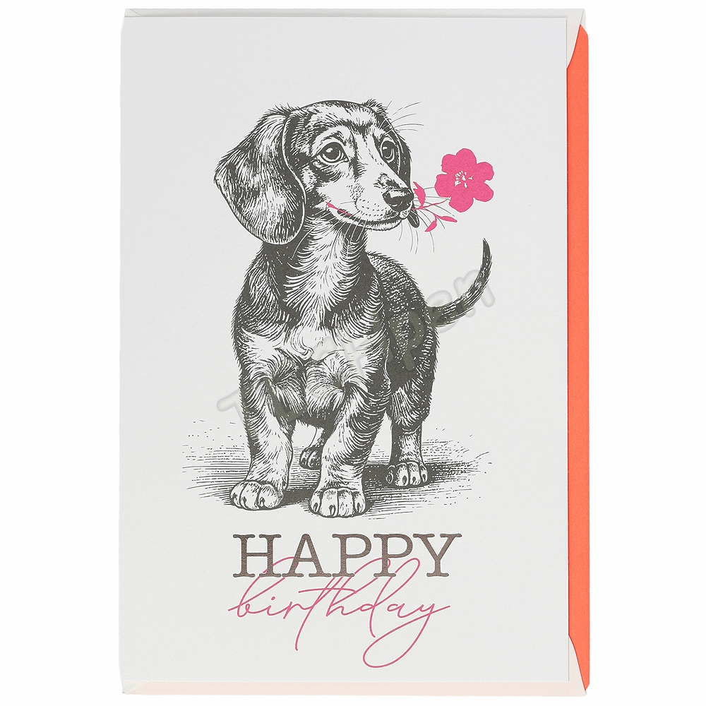 ARTEBENE 125067 GREETING CARD