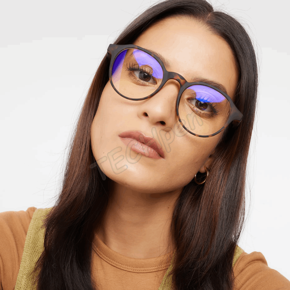 BARNER PRESBYOPIAN GLASSES CT-R+2 CHAMBERI TORTOISE READING 49464