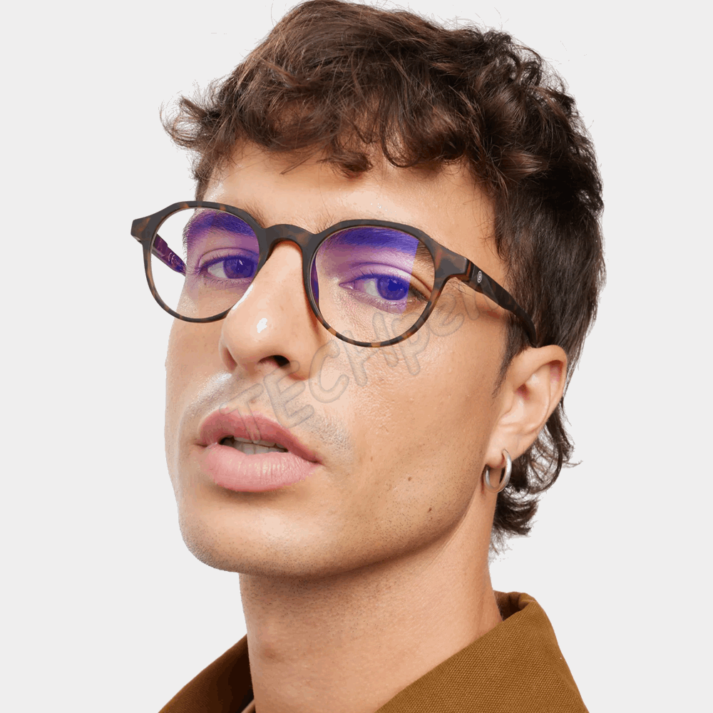 BARNER PRESBYOPIAN GLASSES CT-R+2,5 CHAMBERI TORTOISE READING 49465