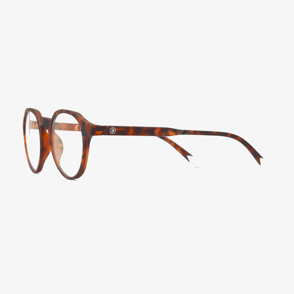 BARNER PRESBYOPIAN GLASSES CT-R+2,5 CHAMBERI TORTOISE READING 49465