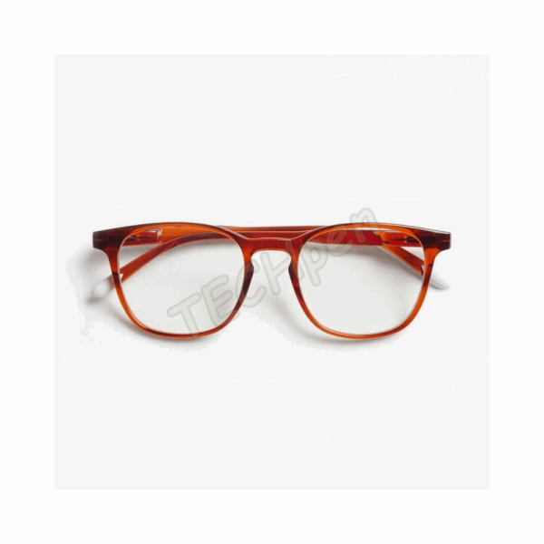 BARNER PRESBYOPIAN GLASSES DGIR 2,5 DALSTON GLOSSY INTENSE RUST +2.5 56666